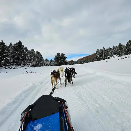 Alpstuga Cosy A *